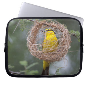 Funda Para Portátil África. Tanzania. Tejedor de cuello negro hembra