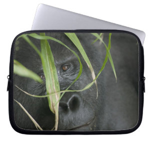 Funda Para Portátil África, Uganda, Bwindi