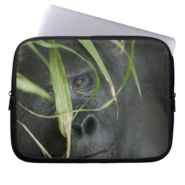 Funda Para Portátil África, Uganda, Bwindi (Frente)