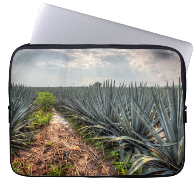 Funda Para Portátil Agavo Tequilana (Frente)