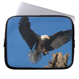 Funda Para Portátil águila calva, Haliaeetus leuccocephalus, aterrizan