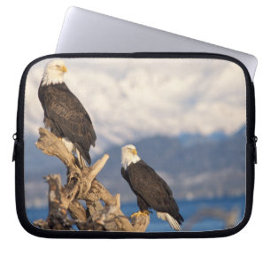 Funda Para Portátil águila calva, Haliaeetus leuccocephalus, pareja