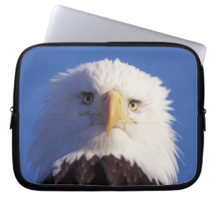 Funda Para Portátil águila calva, Haliaeetus leucocephalus, disparo a