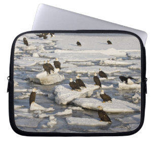 Funda Para Portátil Águila calva, Haliaeetus leucocephalus, Homer, 2
