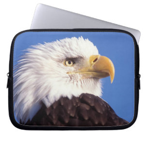 Funda Para Portátil águila calva, Haliaeetus leucocephalus, primer pla