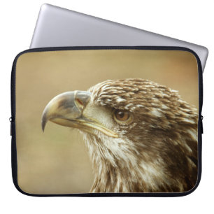 Funda Para Portátil Águila calva inmadura