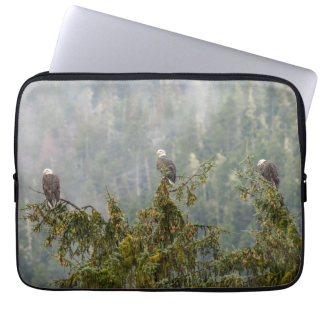 Funda Para Portátil Águilas calvas | Bosque nacional de Tongass Alaska (Frente)