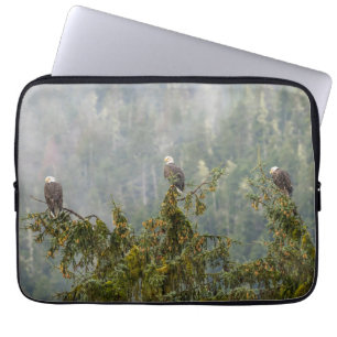 Funda Para Portátil Águilas calvas Bosque Nacional Tongass Alaska