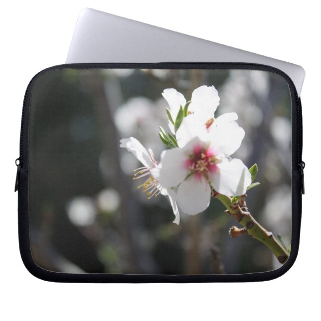 Funda Para Portátil Albaricoquero de Bloomin (Frente)