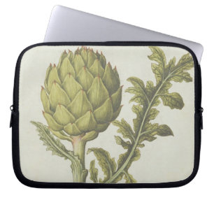 Funda Para Portátil Alcachofa: Scolymus del Cynara, c.1568