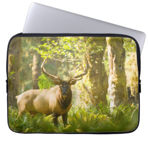 Funda Para Portátil Alce de Roosevelt Parque Nacional Olímpico, Wash