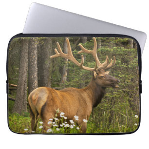Funda Para Portátil Alce macho en terciopelo, Canadá