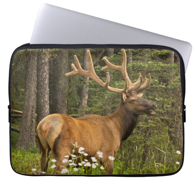 Funda Para Portátil Alce macho en terciopelo, Canadá (Frente)