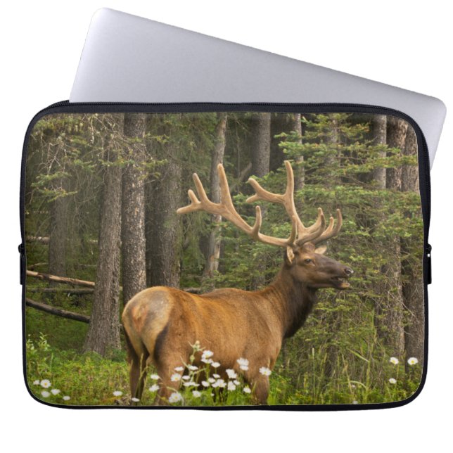 Funda Para Portátil Alce macho en terciopelo, Canadá (Frente)