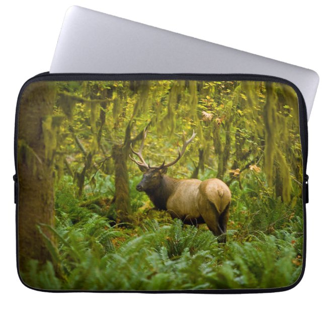 Funda Para Portátil Alce Roosevelt toro (Frente)