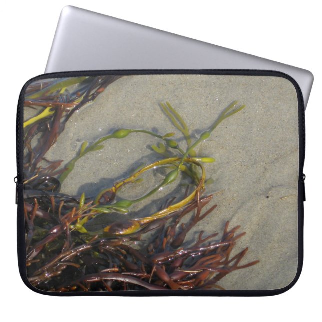 Funda Para Portátil Alga marina de la playa del océano (Frente)