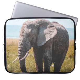 FUNDA PARA PORTÁTIL AMABLE ELEFANTE