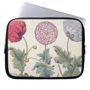 Funda Para Portátil Amapolas: rubicundis múltiplexes de los albumoris