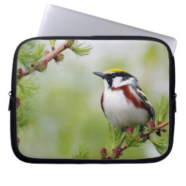 Funda Para Portátil Amarillo amarillo_funda