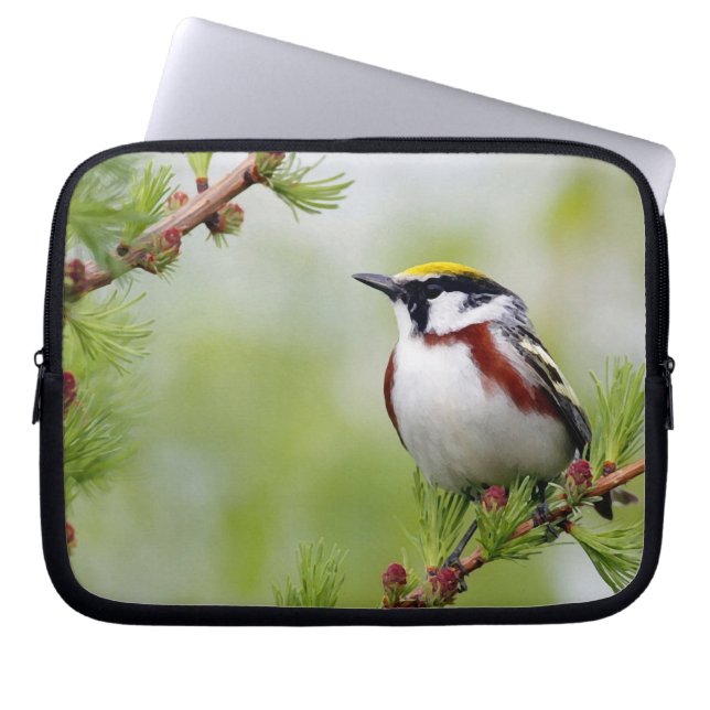 Funda Para Portátil Amarillo amarillo_funda (Frente)