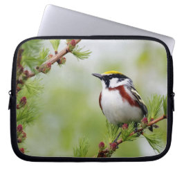 Funda Para Portátil Amarillo amarillo_funda