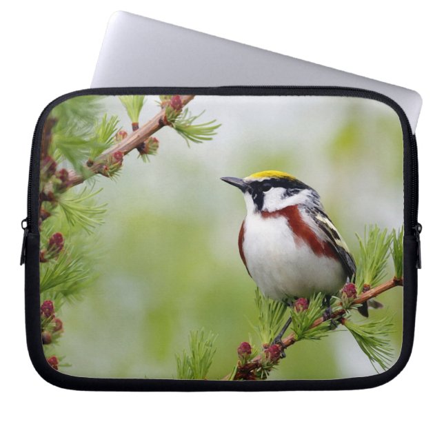 Funda Para Portátil Amarillo amarillo_funda (Frente)