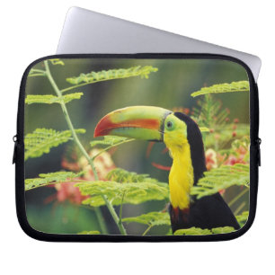 Funda Para Portátil América Central, Honduras. Tucán pico canoa