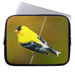 Funda Para Portátil American Goldfinch - Fotografía original