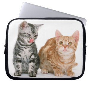 Funda Para Portátil Americano Shorthair