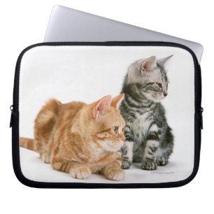 Funda Para Portátil Americano Shorthair