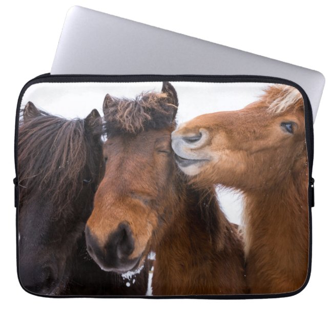 Funda Para Portátil Amigos islandeses del caballo, Islandia (Frente)