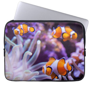 Funda Para Portátil Amphiprion Ocellaris de Ocellaris Clownfish el  