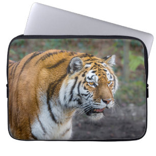 Funda Para Portátil Amur tiger