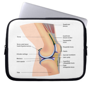 Funda Para Portátil Anatomía del bolso humano de la electrónica de l
