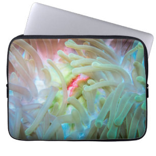 Funda Para Portátil Anémona de mar multicolora