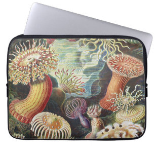 Funda Para Portátil Anémonas de Mar de Haeckel Arte Náutico de Vida Ma