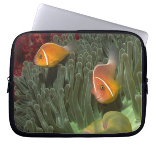 Funda Para Portátil Anemonefish rosado en anémona de mar de