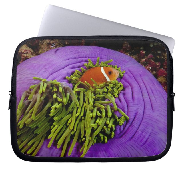 Funda Para Portátil Anemonefish y anémona grande (Frente)