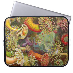 Funda Para Portátil Anemones Haeckel de la cosecha