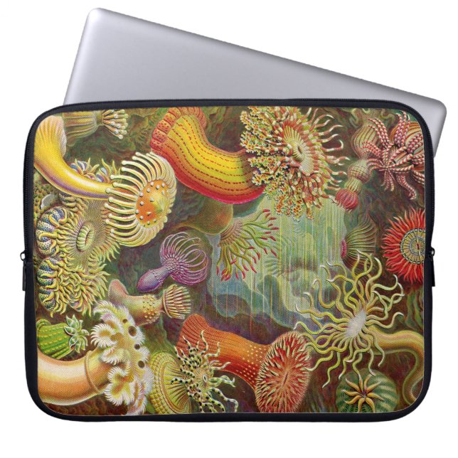 Funda Para Portátil Anemones Haeckel de la cosecha (Frente)
