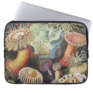 Funda Para Portátil Anemones marinos, Actiniae Seanemonen Ernst Haecke