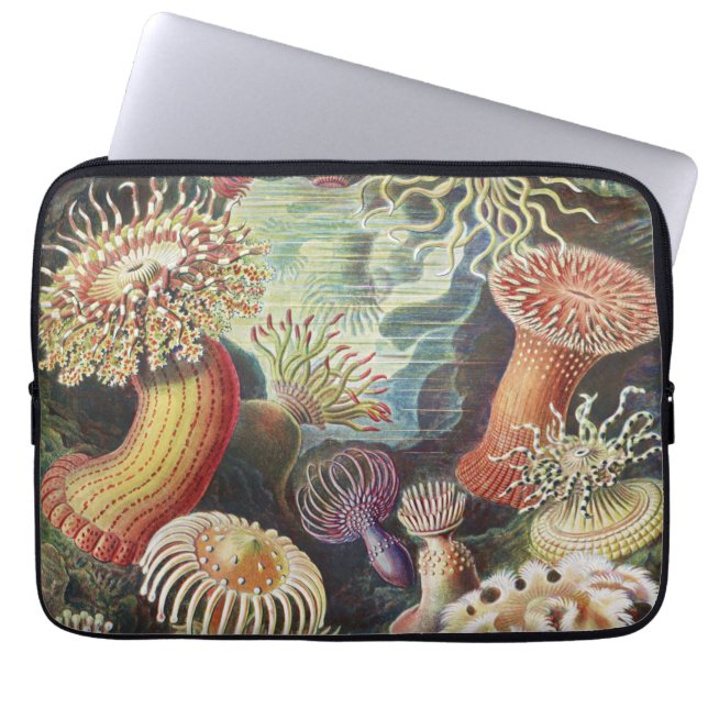 Funda Para Portátil Anemones marinos, Actiniae Seanemonen Ernst Haecke (Frente)
