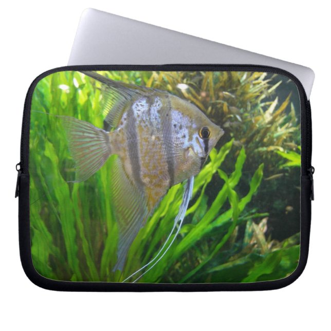 Funda Para Portátil Angel Fish (Frente)