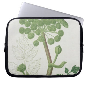 Funda Para Portátil Angélica Archangelica de 'Phytographie Medicale