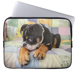 Funda Para Portátil Animales de bebé más afectados   Antiguo y tímido 