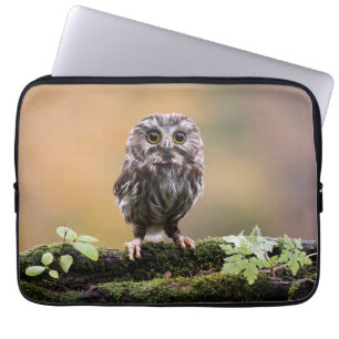 Funda Para Portátil Animales de bebé más afectados Bebé Lechuza