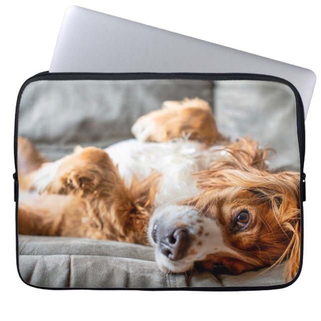 Funda Para Portátil Animales de bebé más afectados | Cocker Spaniel (Frente)