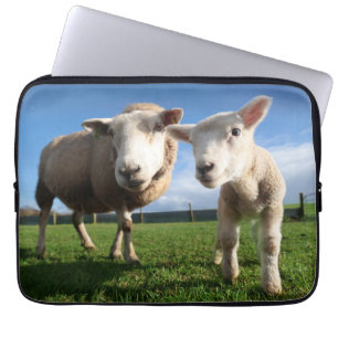 Funda Para Portátil Animales de bebé más afectados   Cordero recién na