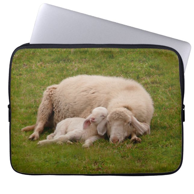Funda Para Portátil Animales de bebé más afectados | Cordero sonriente (Frente)