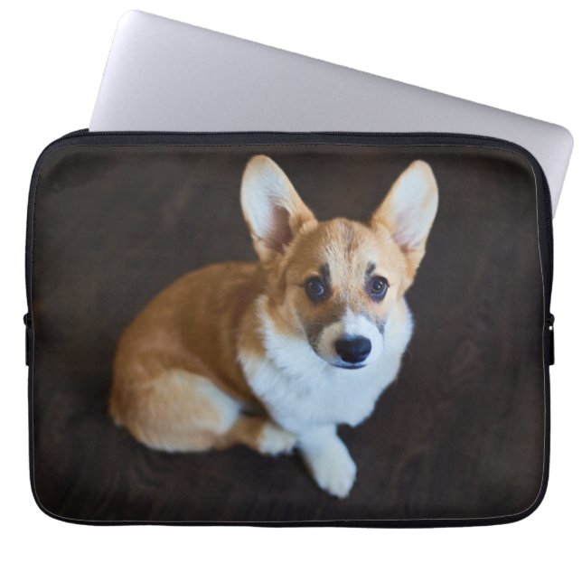 Funda Para Portátil Animales de bebé más afectados | Corgi Buscando (Frente)